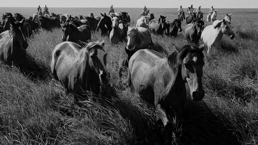 'La marisma', el documental que refleja cómo la sequía y la mano del hombre transformaron el entorno de Doñana