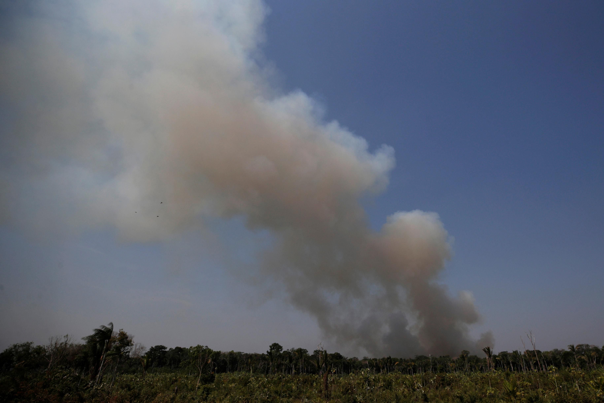 El humo ondula durante un incendio en un área de la selva amazónica cerca de Humaita, estado de Amazonas, Brasil 14 agosto