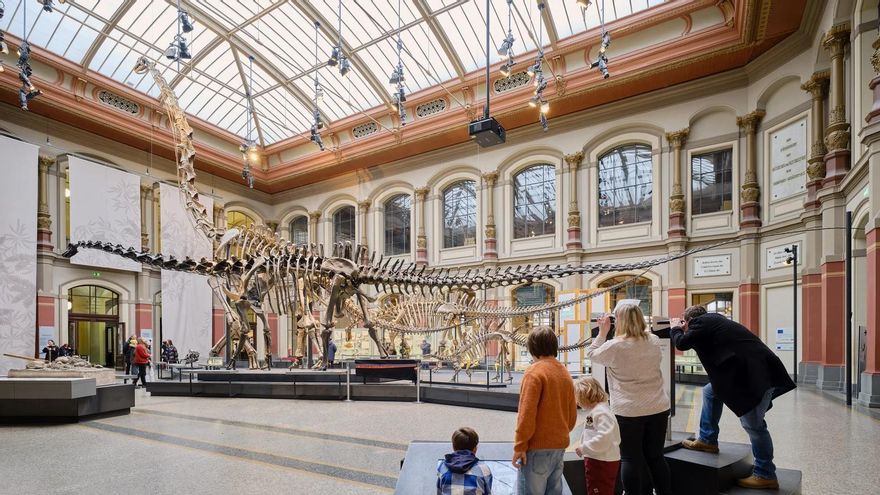 En este museo puedes visitar el mayor esqueleto de dinosaurio del mundo y una de las colecciones de investigación más modernas