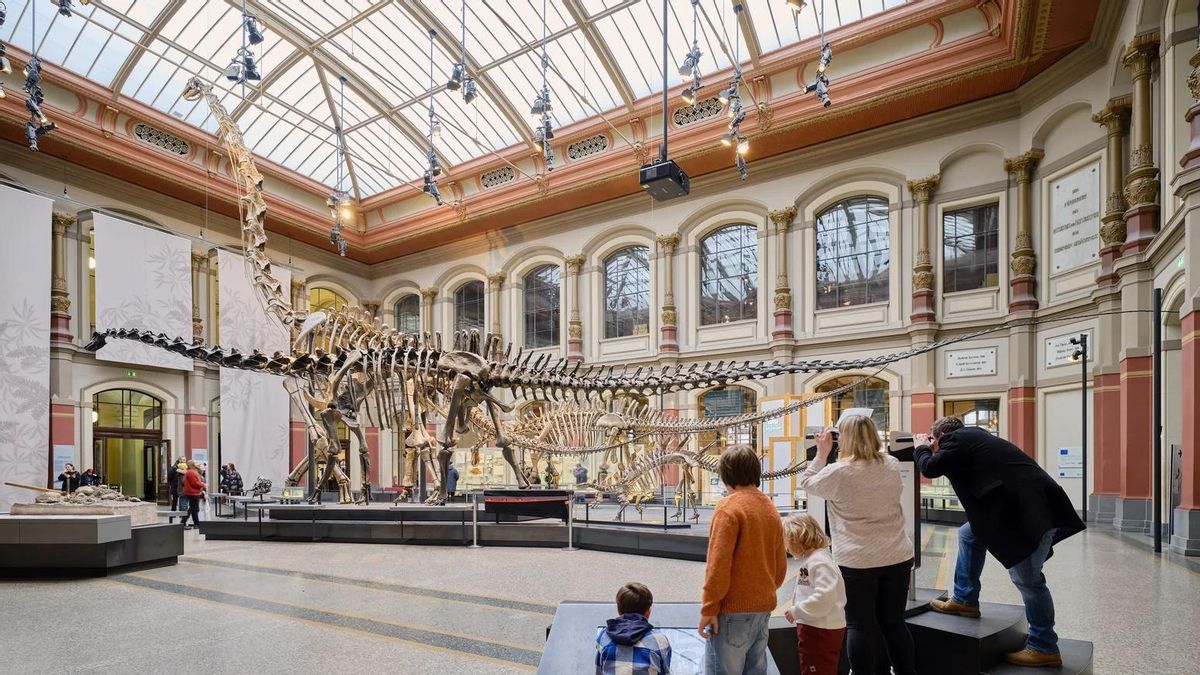 En este museo puedes visitar el mayor esqueleto de dinosaurio del mundo y una de las colecciones de investigación más modernas