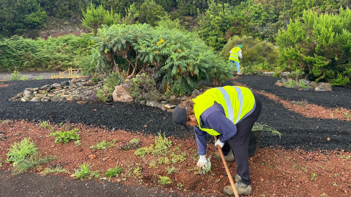Dos  trabajadores  en Barlovento contratados a través de los planes de empleo.