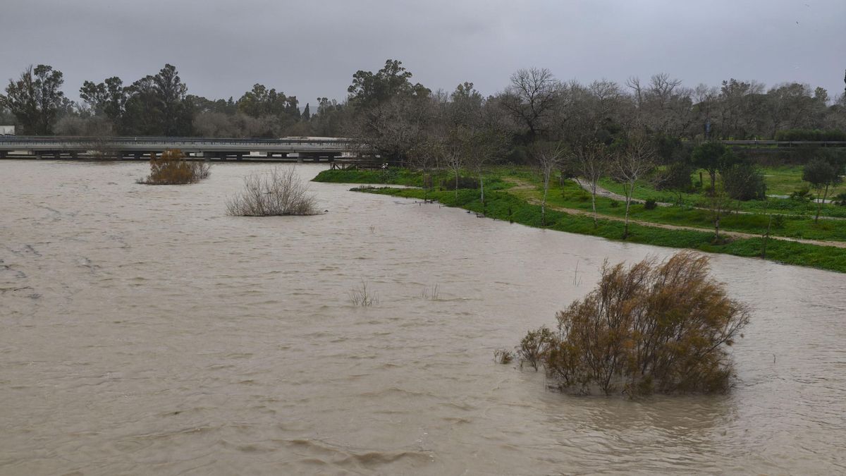El río Guadalete, a su paso por Jerez.