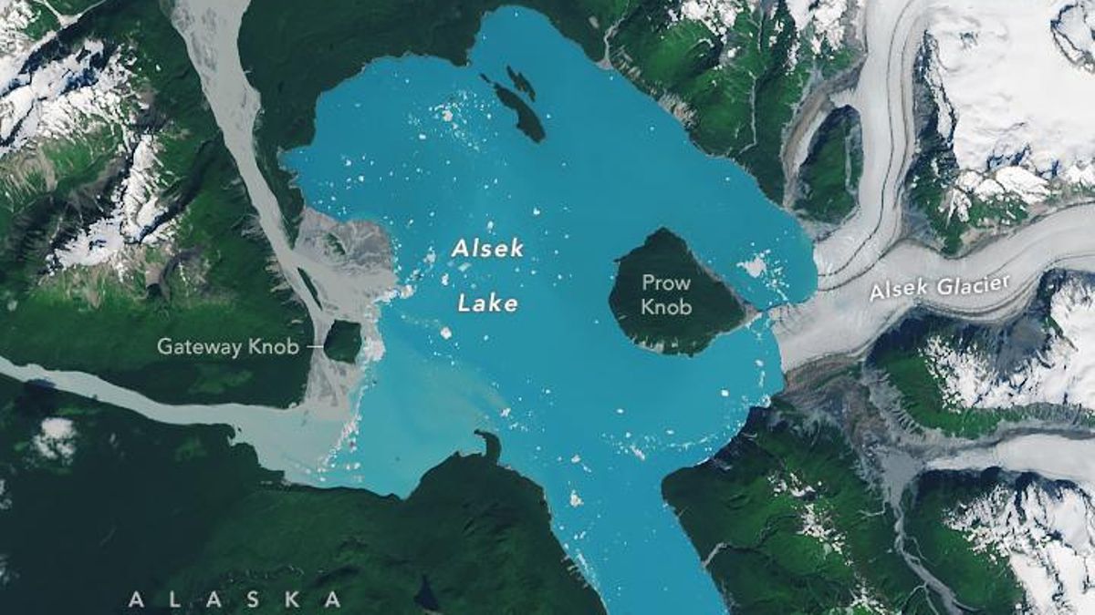 La NASA certifica el nacimiento de una isla en Alaska tras décadas de deshielo glaciar