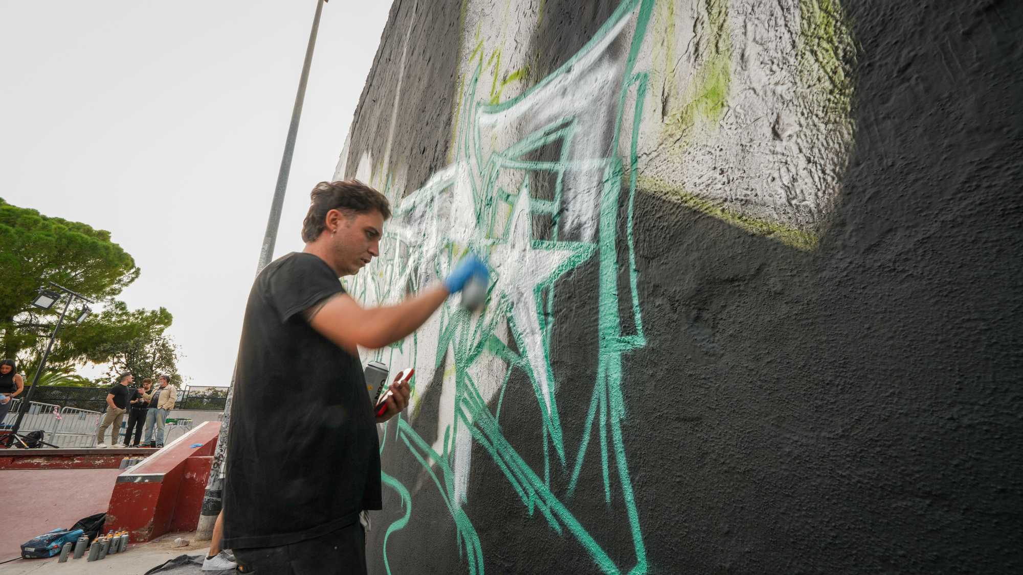 'Wild Style Festival' en el skatepark de Cañero