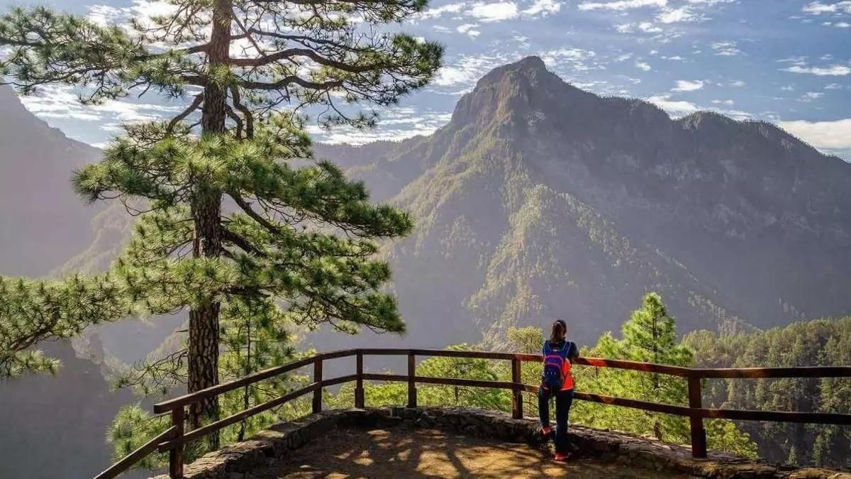 El Cabildo de La Palma acerca el patrimonio natural a los centros educativos con tres propuestas de educación ambiental