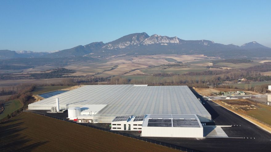 Los tomates calefactados del macroinvernadero de Álava soliviantan a organizaciones ecologistas