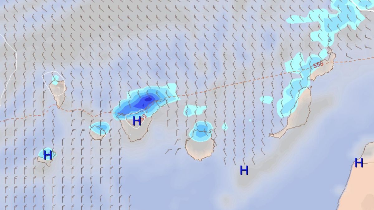 Lluvias esperadas este lunes en Canarias, según el modelo europeo.