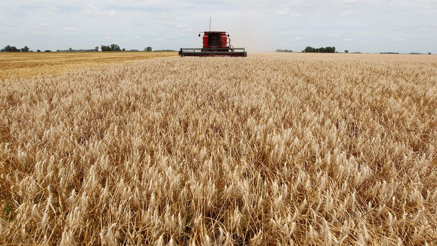 Un superávit sin derrame: el comercio exterior creció, pero el empleo y los salarios no