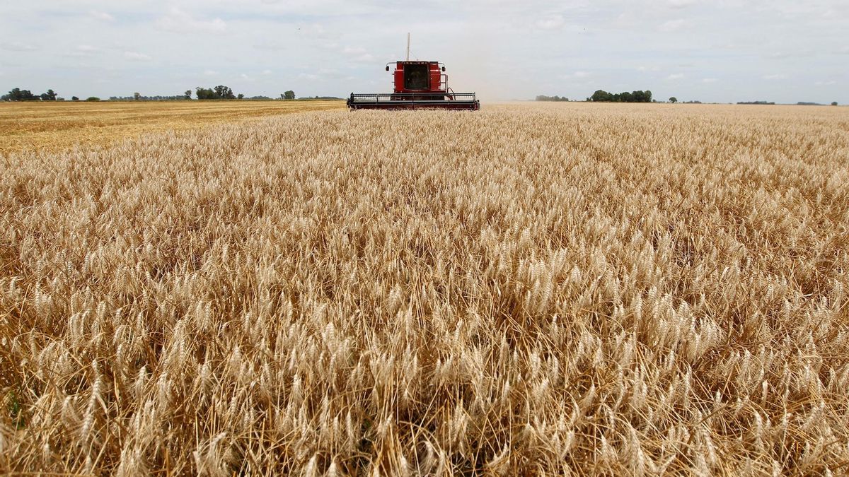 Un superávit sin derrame: el comercio exterior creció, pero el empleo y los salarios no