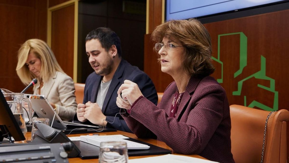 Euskadi implantará un Código de Riesgo Suicida en la historia clínica electrónica de Osakidetza