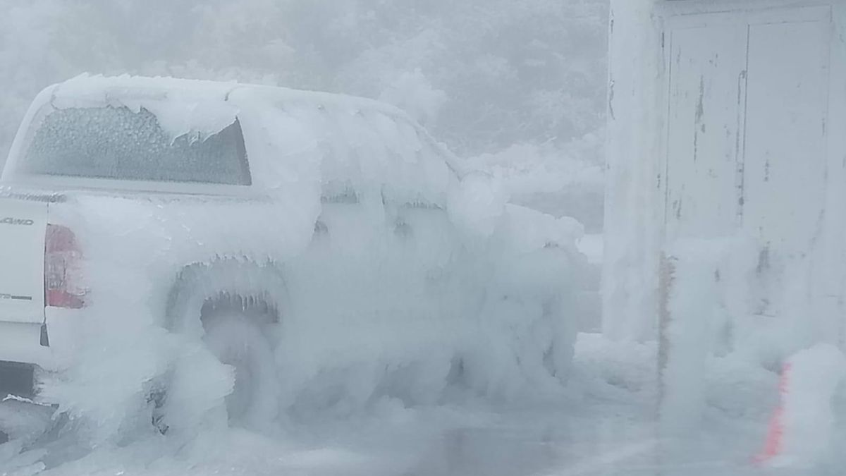 Coches congelados, este miércoles, en el aparcamiento de la residencia del IAC en el Observatorio del Roque de Los Muchachos. Foto: Adelto Hernández/Radio Luz