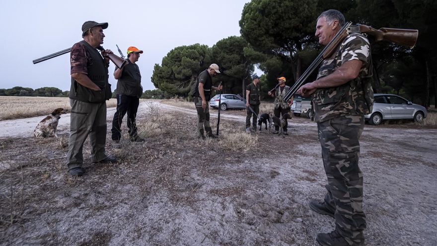 Europa quiere que los cazadores dejen de envenenar la naturaleza con 14.000 toneladas de plomo al año