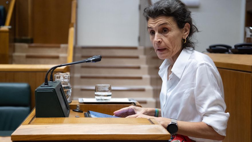 Melgosa emplaza al Parlamento a cambiar la ley de Servicios Sociales si se quiere acotar el beneficio empresarial en adjudicaciones