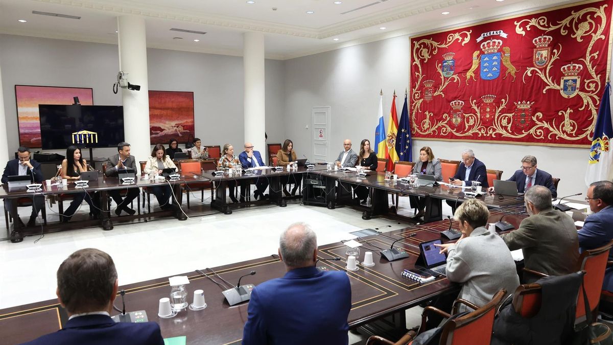 Comisión General de Cabildos Insulares celebrada este jueves.