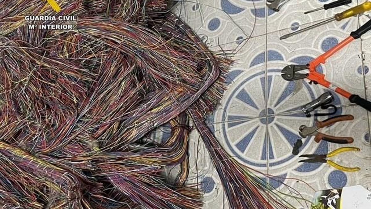 Resultado de la actuacion en Millanes, en la zona de Navalmoral de la Mata.