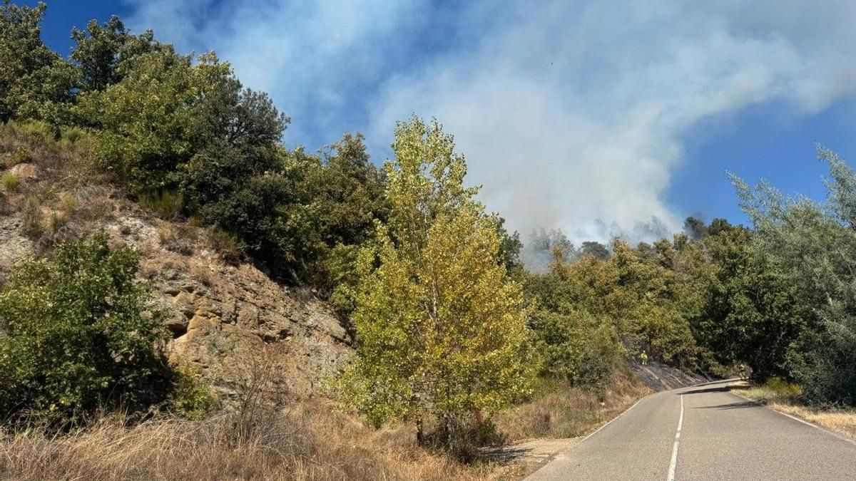 Humo procedente del incendio originado en la Sierra de Gistredo.