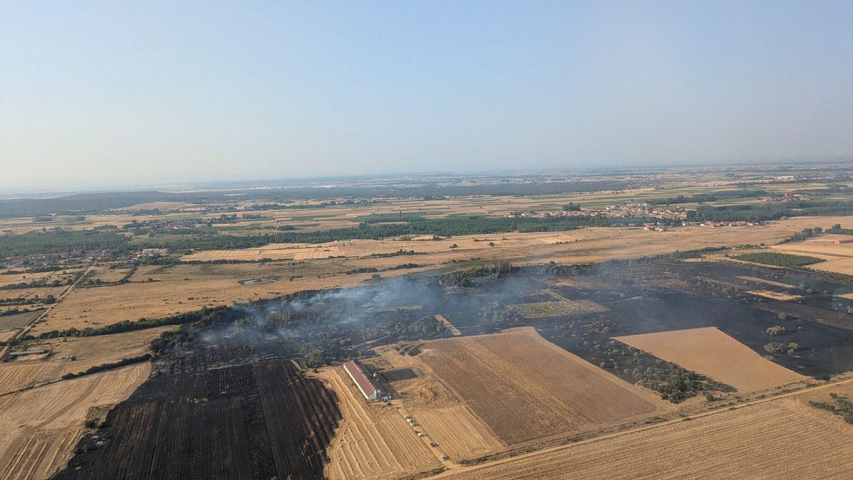 Un amplio dispositivo lucha por apagar un incendio forestal declarado este lunes en Villamontán de la Valduerna