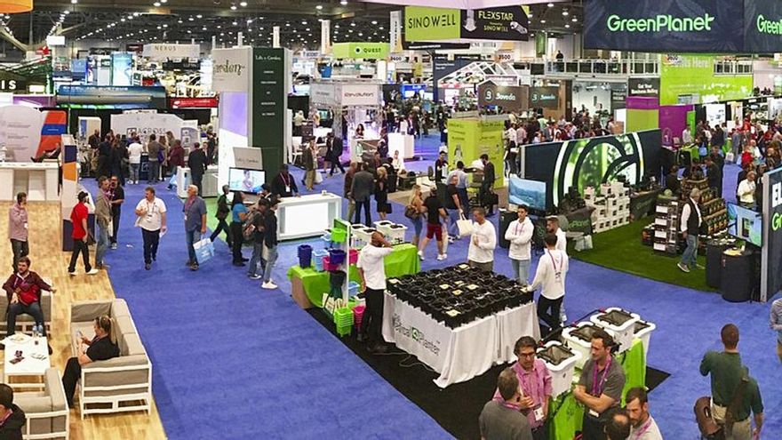 Expo Cannabis vuelve a la Rural con novedades, en medio de los debates por la despenalización