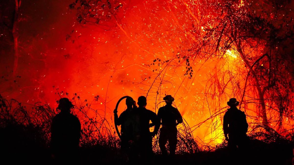 Promesas millonarias, billeteras vacías: el drama de cómo Ambiente debe operar con menos del 1% del presupuesto nacional en seis países de Latinoamérica