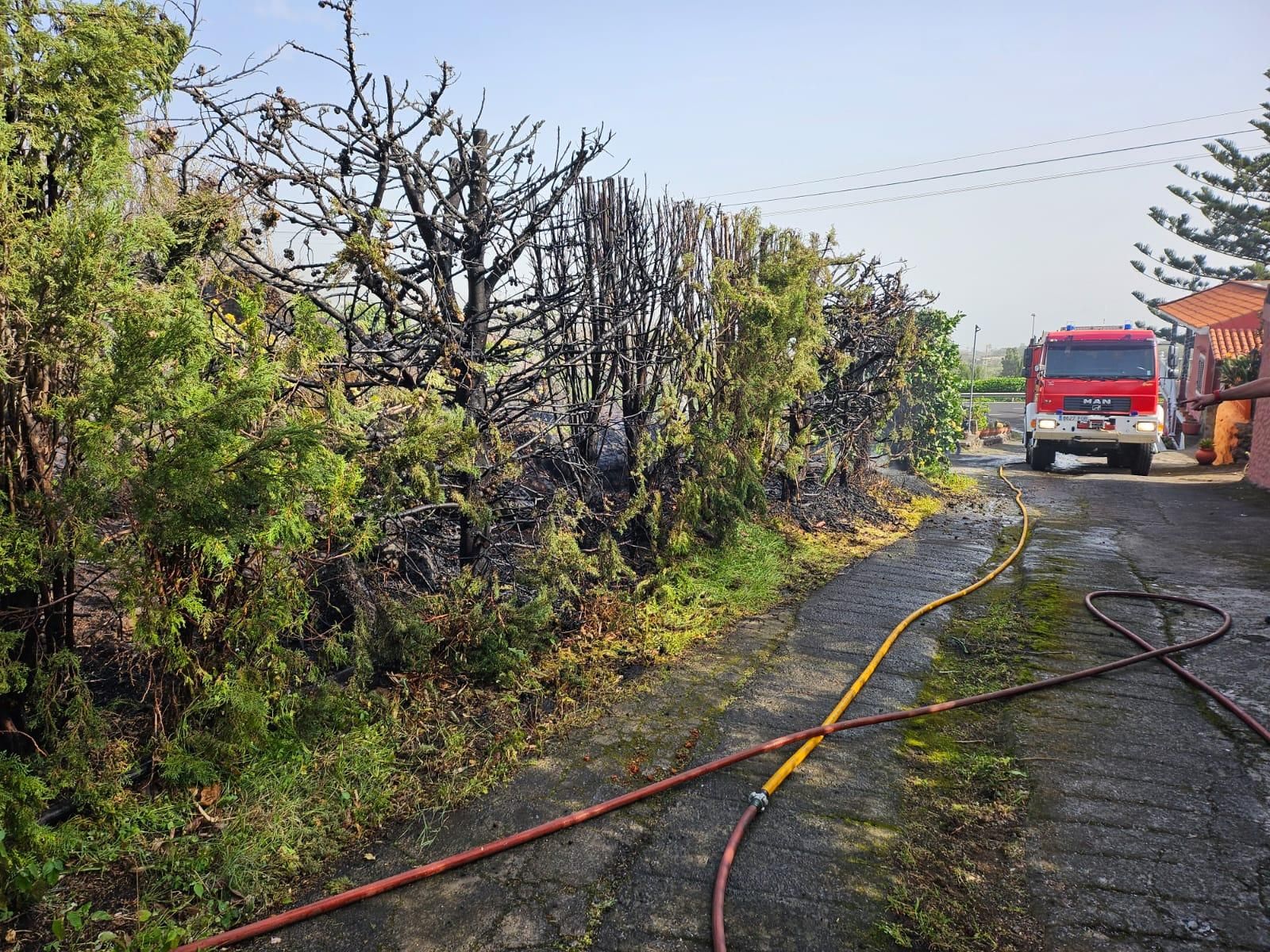 El incendio de Las Ledas se registró junto a una vivienda. BOMBEROS LA PALMA