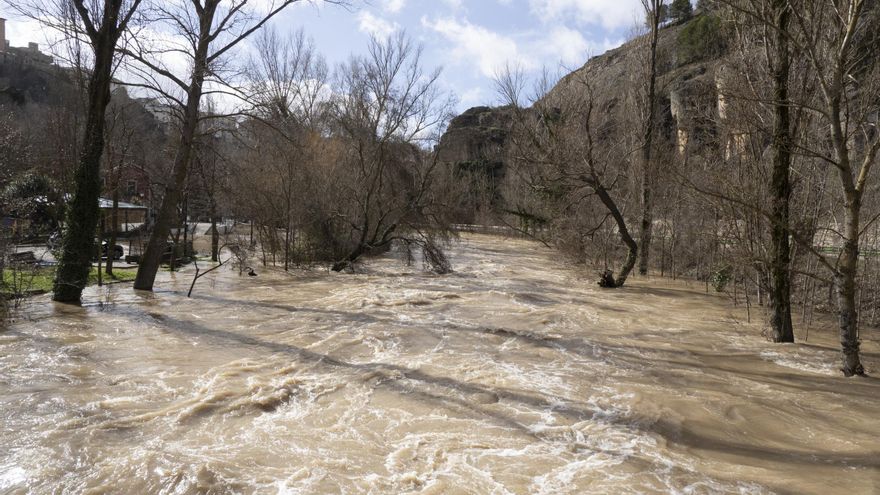 Zona inundada tras la crecida del río Júcar, este jueves.