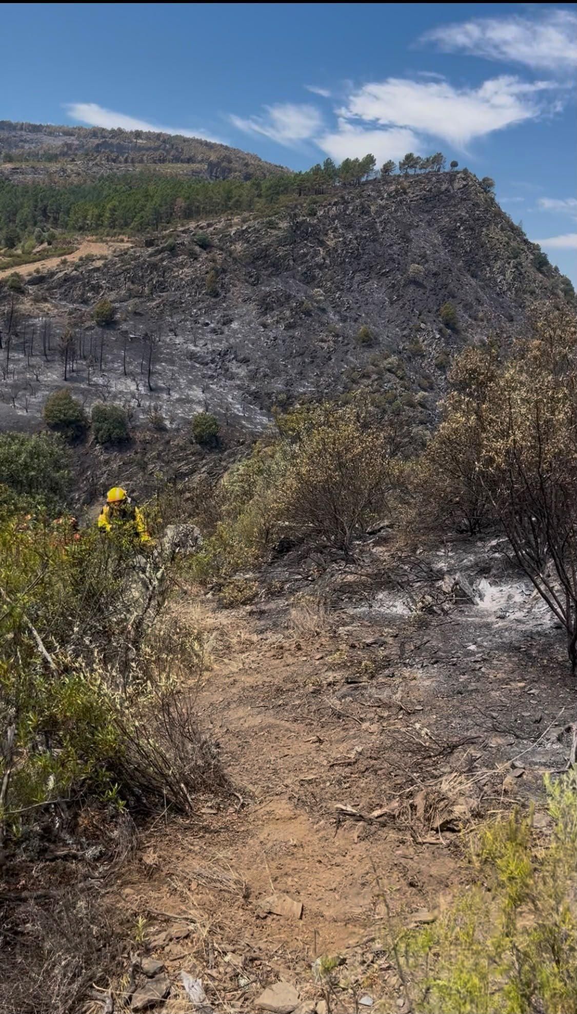 Bomberos forestales trabajando para extinguir el incendio de La Mierla