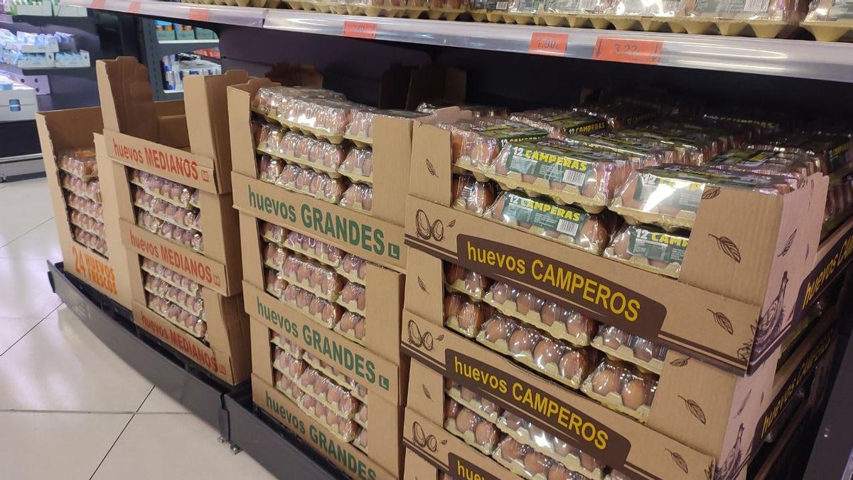 'Sí' ambiental a una suministradora de huevos de Mercadona para 214.500 gallinas camperas en zona protegida para las aves en León