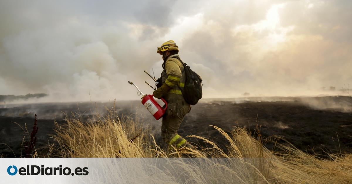 Privatización, sueldos bajos y contratos temporales: los incendios destapan la precariedad de los bomberos forestales