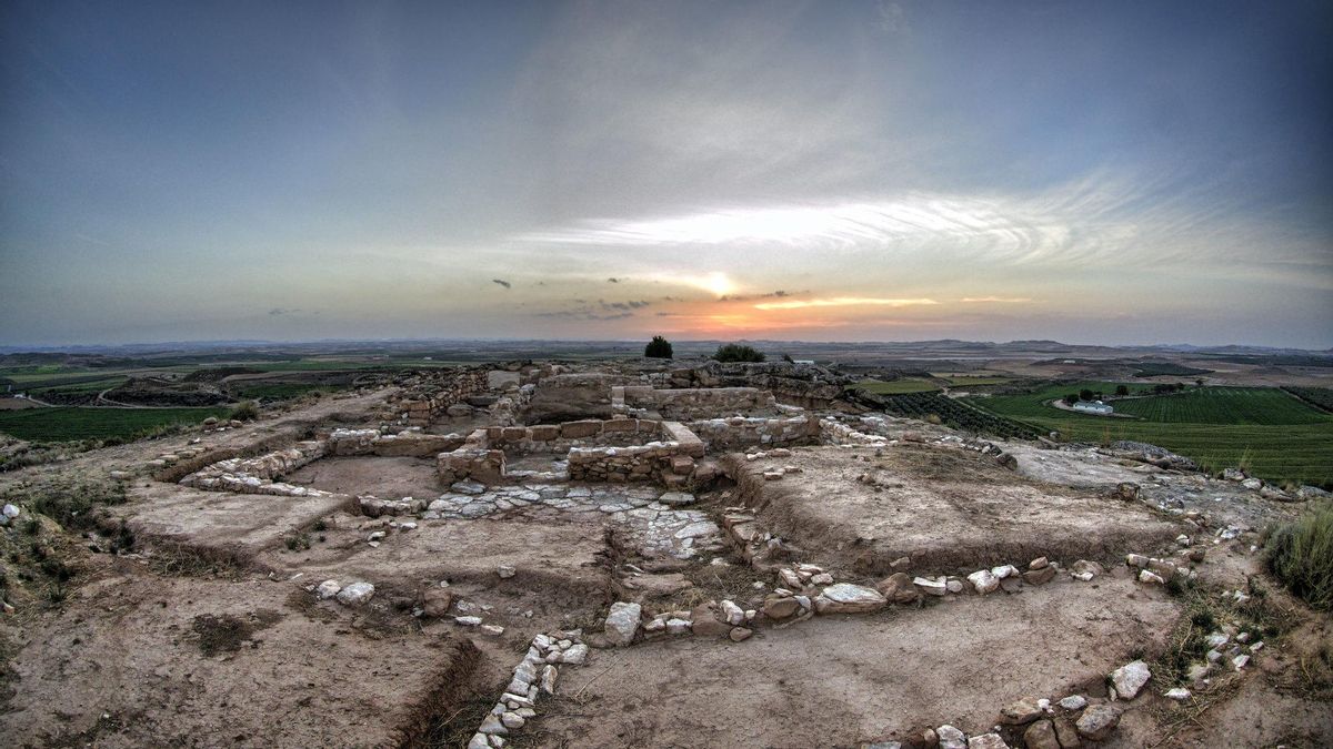 Planta de casas íberas en el Oppidum de El Palao.