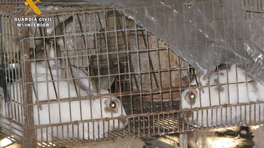 Localizado un zoo no autorizado con 159 animales en San Vicente de la Sonsierra