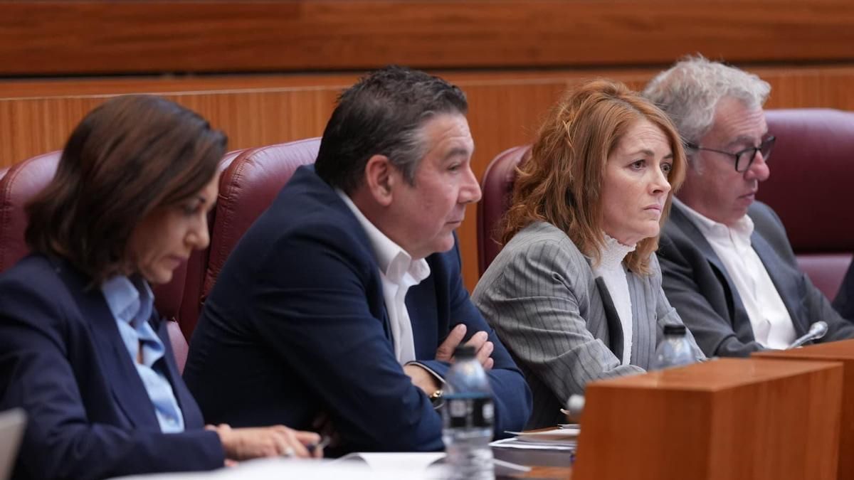 La UPL insta a Mañueco a definir su voluntad de mejorar los presupuestos para la Región Leonesa