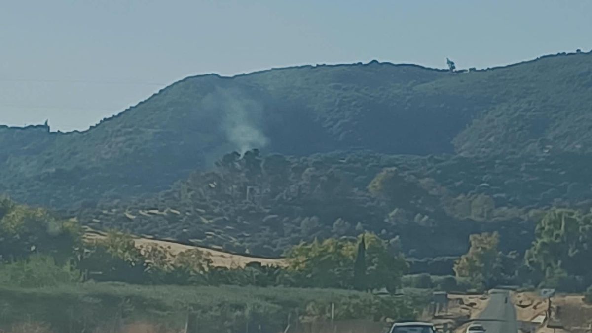Declarado un incendio forestal en Córdoba junto a la carretera de Trassierra