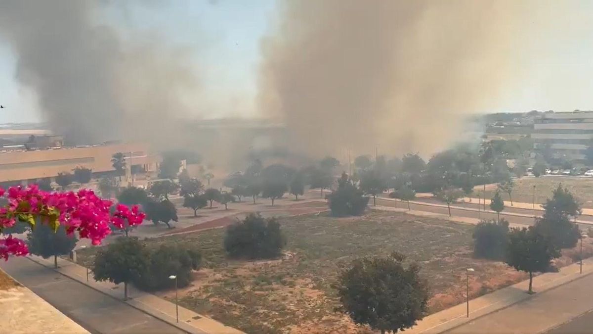 Un incendio en una zona de pastos obliga a evacuar una urbanización en Mairena del Aljarafe
