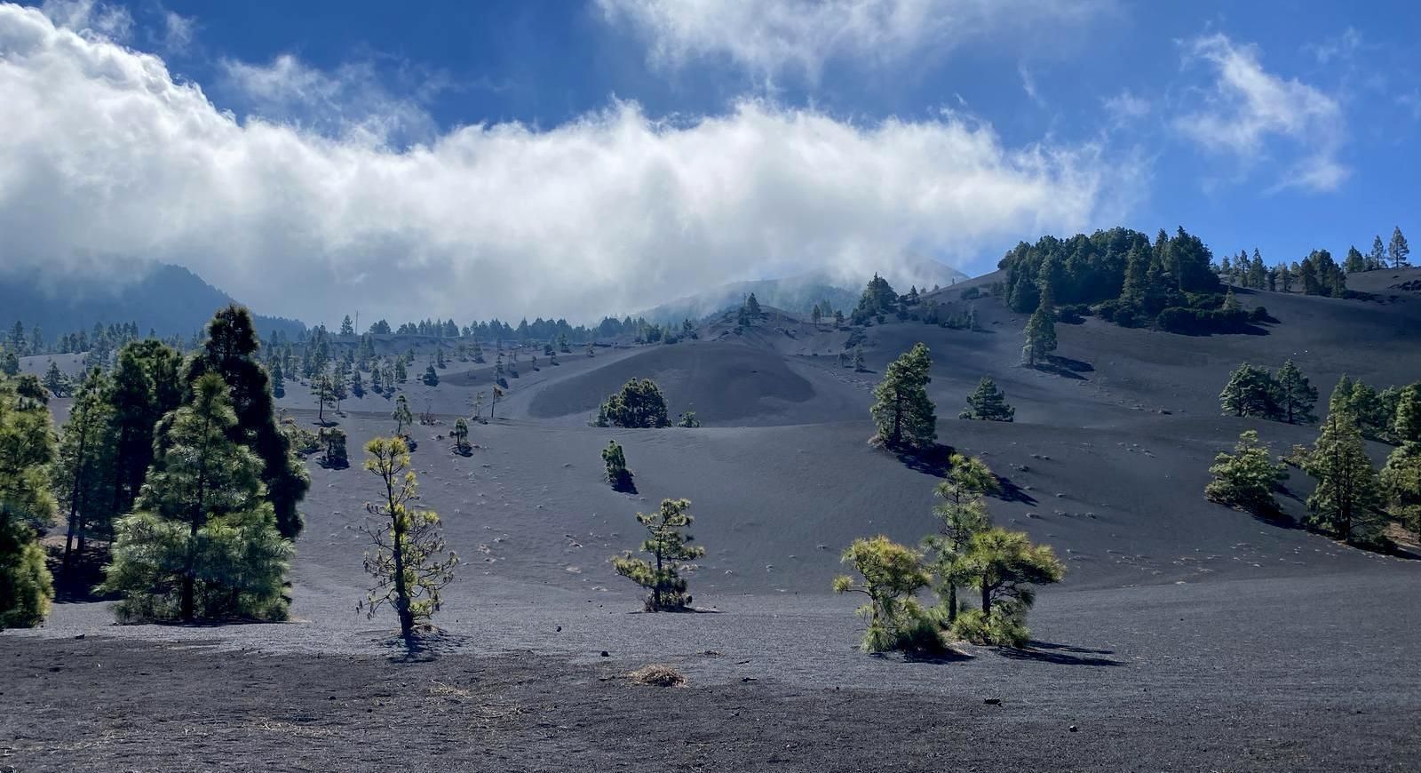 Paisaje de Llano del Jable, en La Palma.