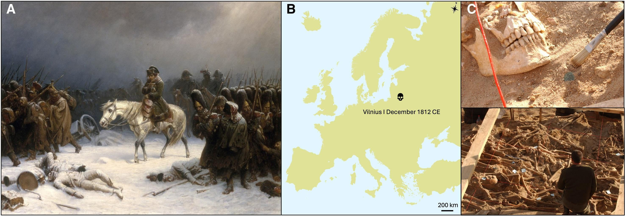 La retirada de Napoleón de Moscú” de Adolph Northen; Mapa geográfico de Europa que muestra la ubicación y datación del sitio arqueológico en Vilnius; Fotografías 'in situ' tomadas durante la excavación de las trincheras que contenían los cuerpos de los soldados napoleónicos