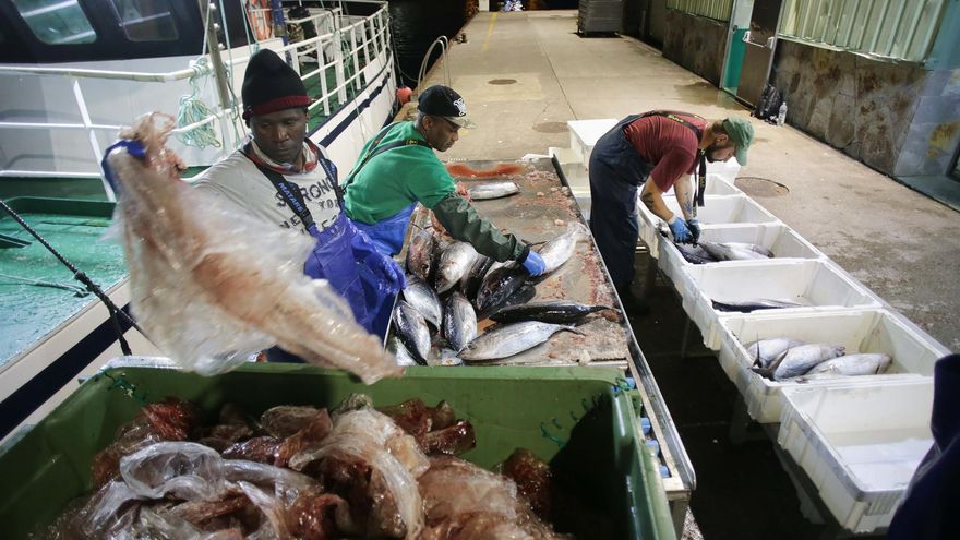 Galicia ganó 17.000 trabajadores en 2024, pero la creación de empleo se mantuvo por debajo de la media estatal