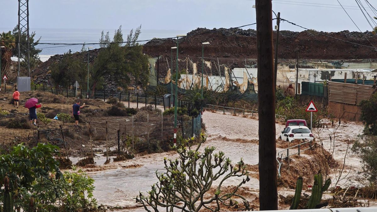 El barranco de Ojos de Garza, el Telde, desbordado por las lluvias en marzo de 2025. EFE/ Angel Medina G.
