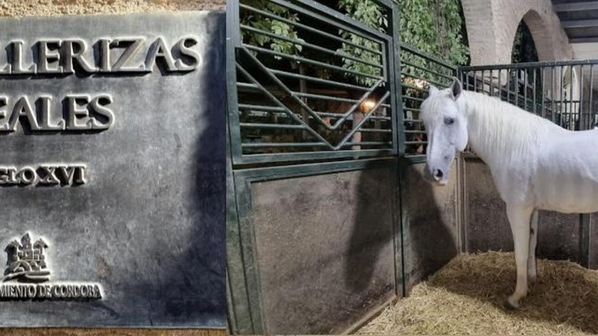 Tiempo de verano. Incendios. Quien paga, manda