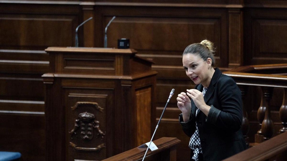 La consejera de Derechos Sociales, Noemí Santana.