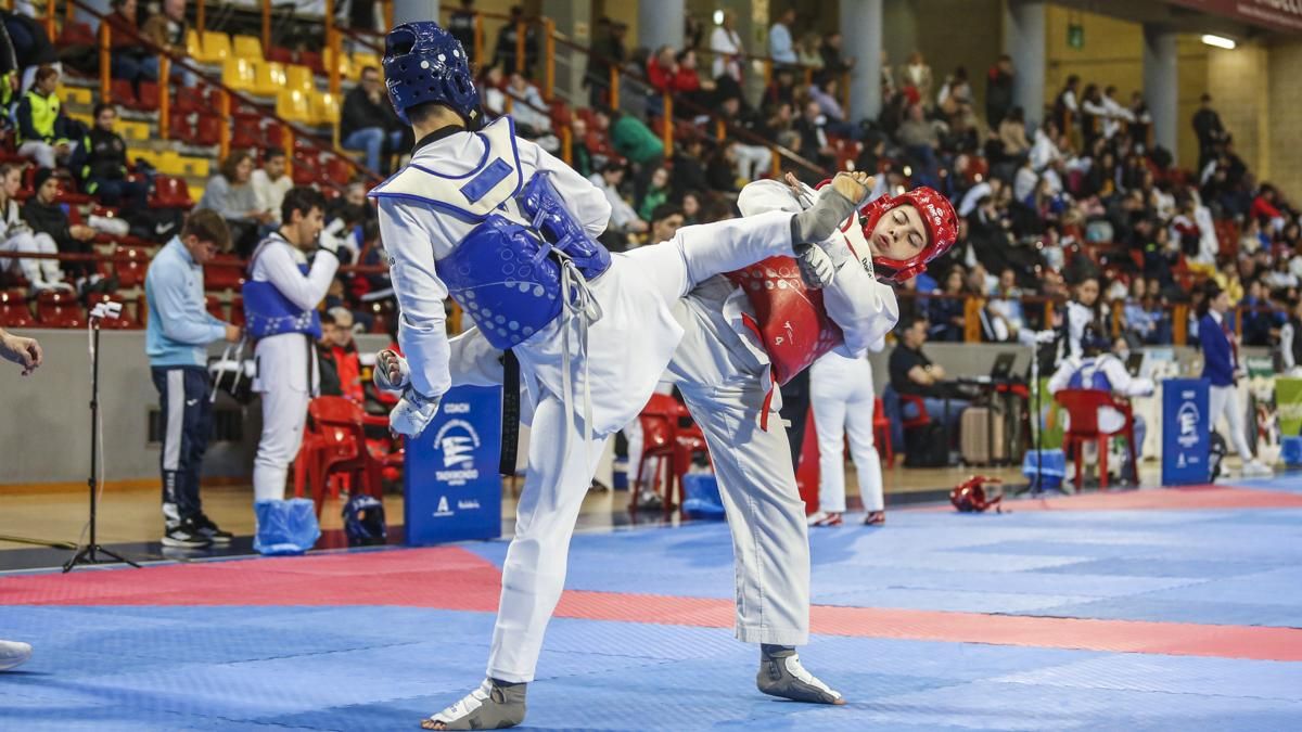 Open internacional de Andalucía de Taekwondo y Copa Iberdrola