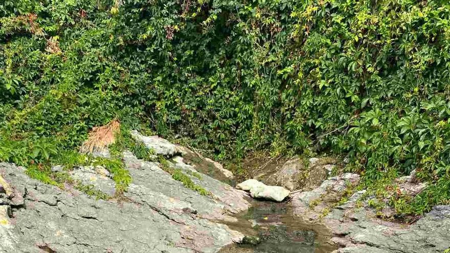 En la imagen se aprecian los efectos del vertido en la desembocadura de la canal de San Juan