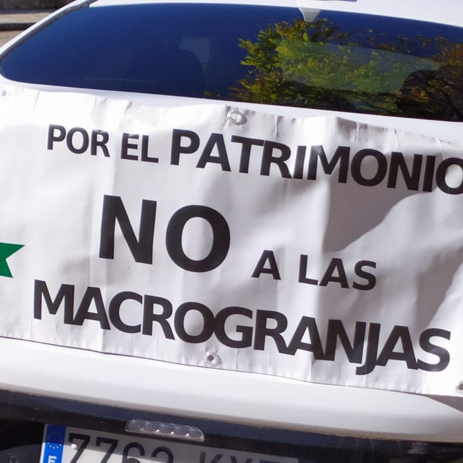 Cientos de coches toman la ciudad de Cuenca para clamar contra las macrogranjas: "Ni en tu pueblo ni en el mío”