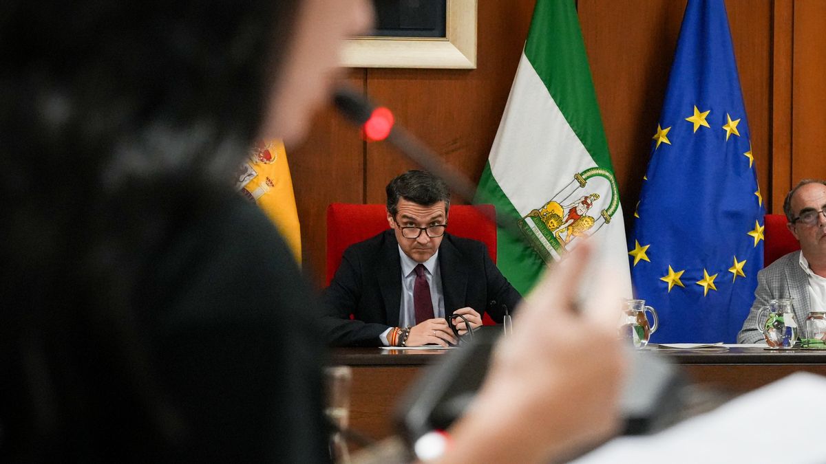 La portavoz durante su intervención con el alcalde al fondo del salón