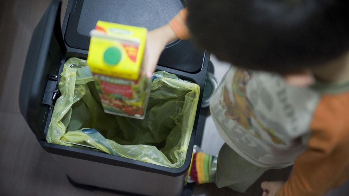 Oficinas y colegios, los 'puntos calientes' del reciclaje que la sostenibilidad busca conquistar