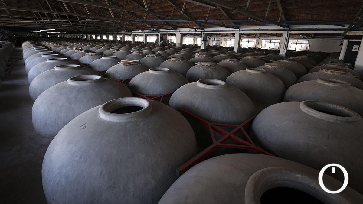 En la Cooperativa La Aurora se encuentra la nave de tinajas más grande de toda España