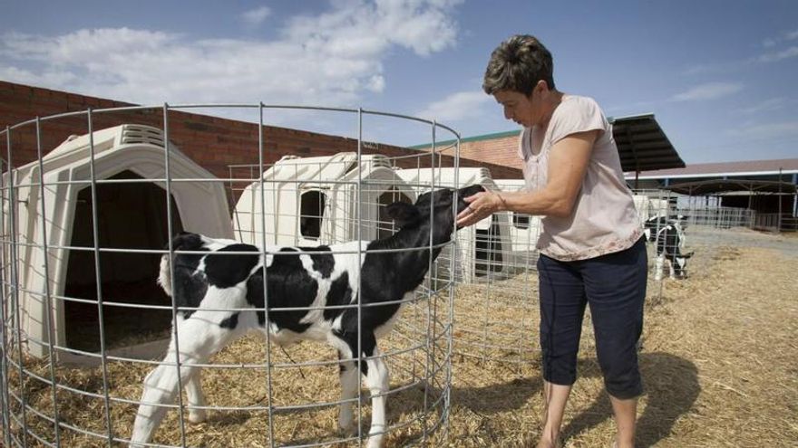 Foto de archivo. / Ricardo Muñoz / ICAL
