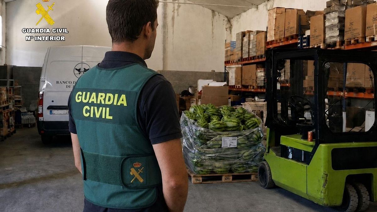 La Guardia Civil de Palencia detiene a dos personas por sustraer productos del Banco de Alimentos y venderlos en Parla