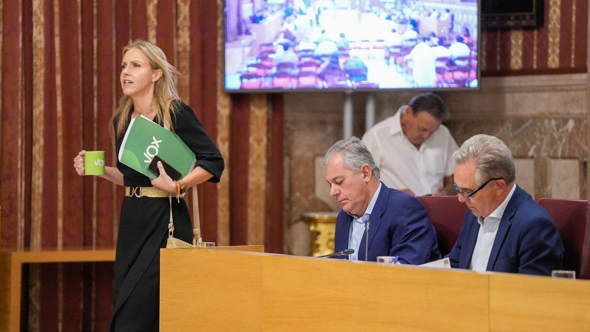 El PP tumba la prioridad nacional de Vox en el Ayuntamiento de Sevilla y le muestra a Moreno un camino a seguir