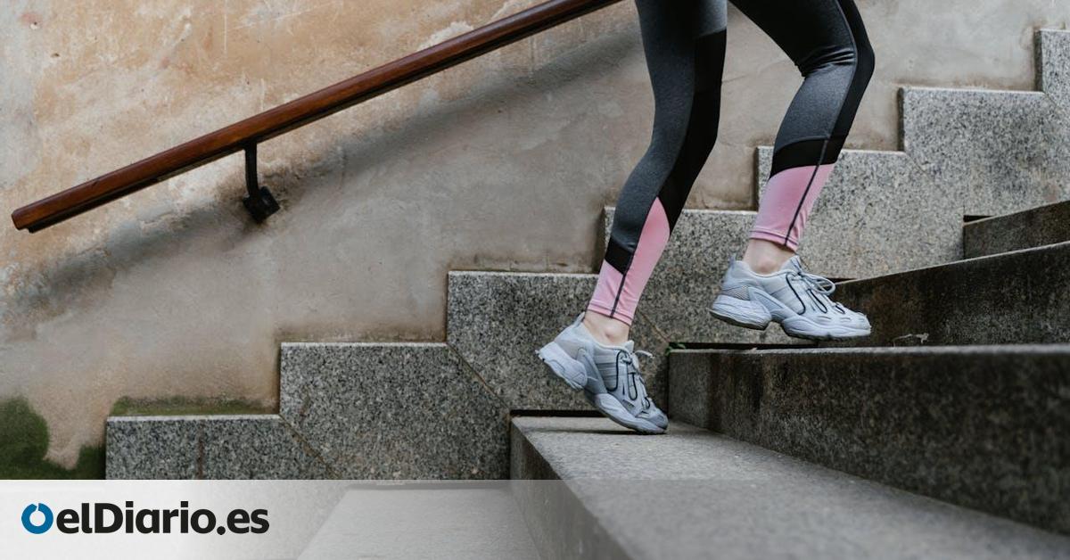¿Cuántas escaleras conviene subir al día para mejorar la salud?