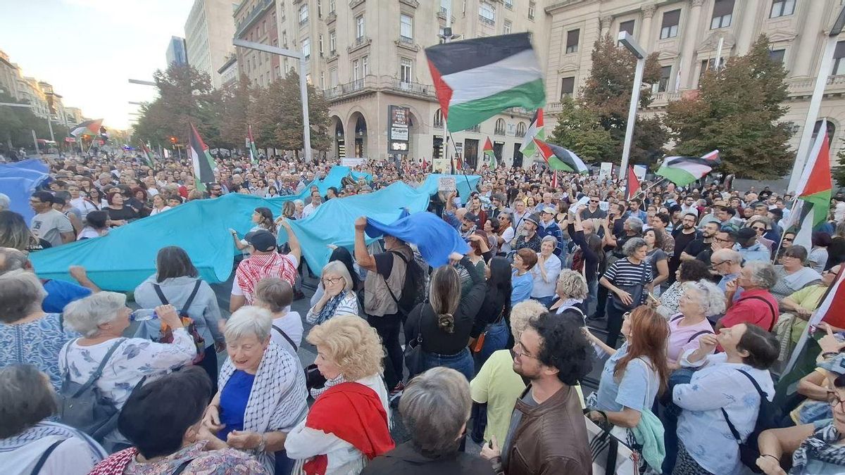 Movilización en Zaragoza como apoyo a la flotilla de Gaza